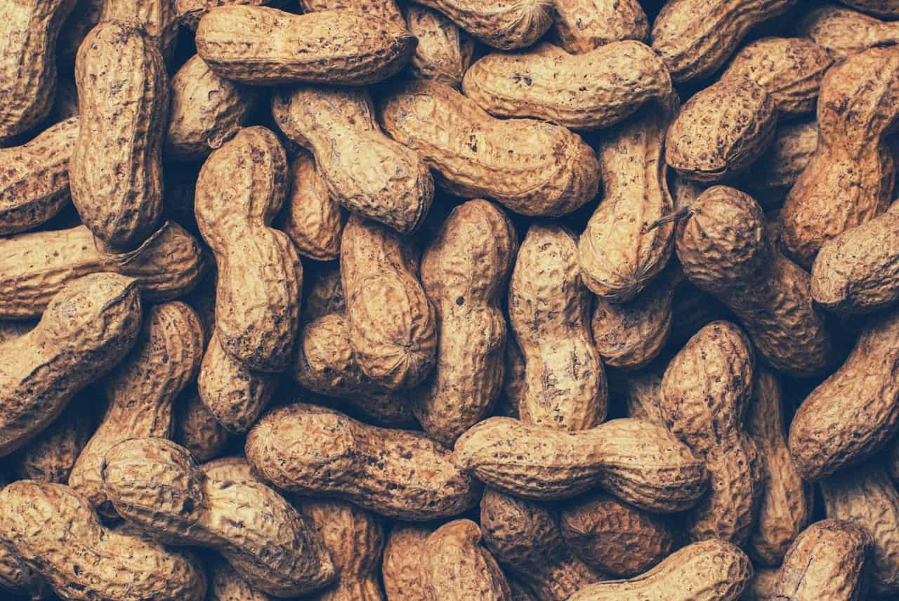 A pile of peanuts