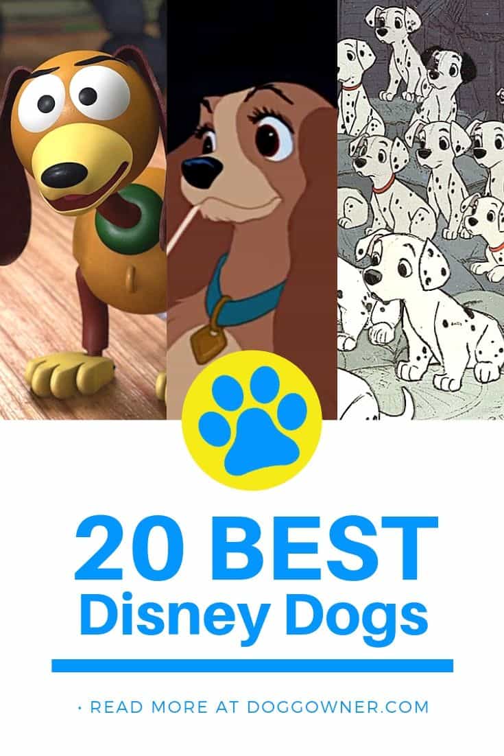 Quiz: Do You Know These Disney Dogs' Names? | DoggOwner