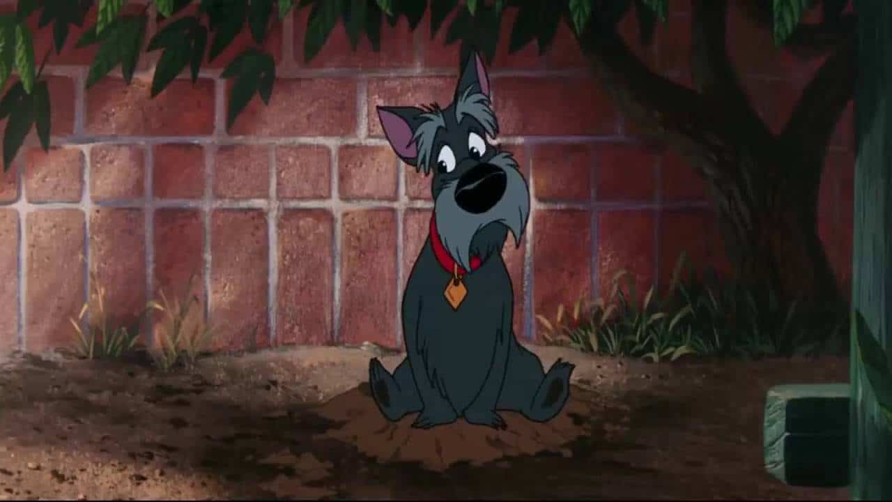 Jock the dog from Lady And The Tramp