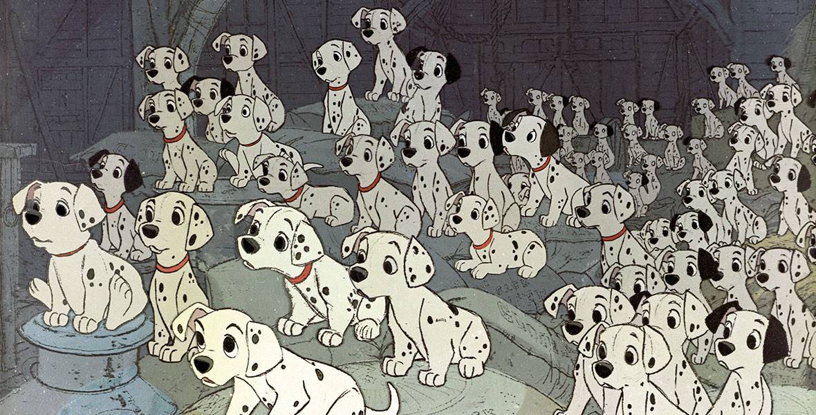 The one hundred and one Dalmatians