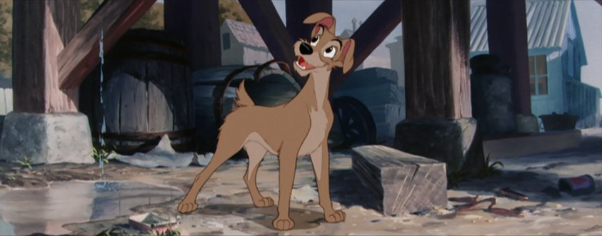 Tramp the dog from Lady And The Tramp