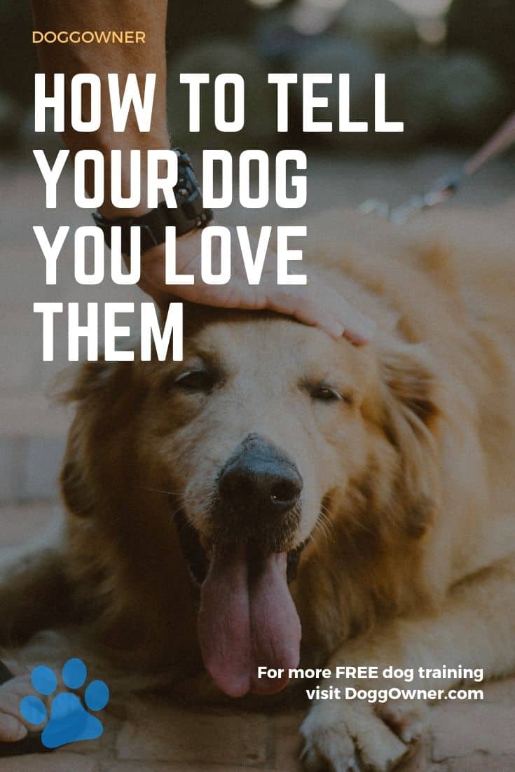 How to tell your dog you love them Pinterest image