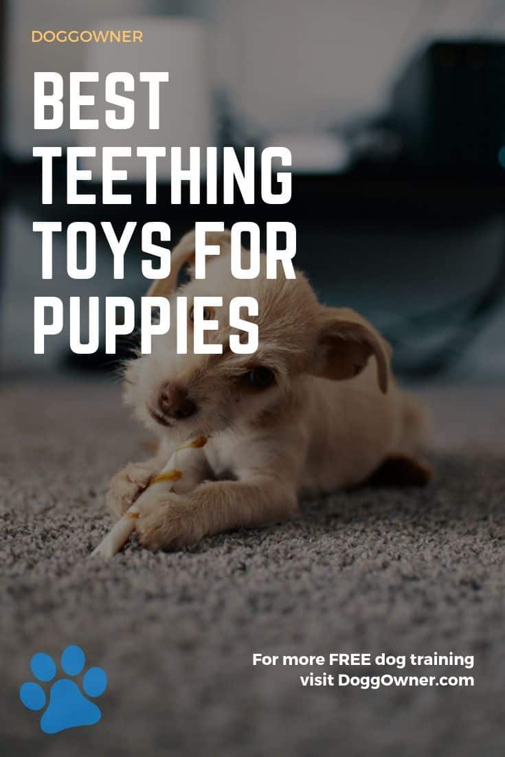 5-best-teething-toys-for-puppies-in-2020-doggowner