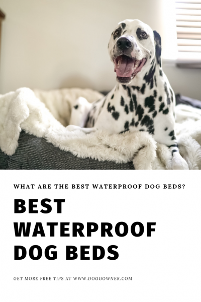 A best waterproof dog beds pinterest picture