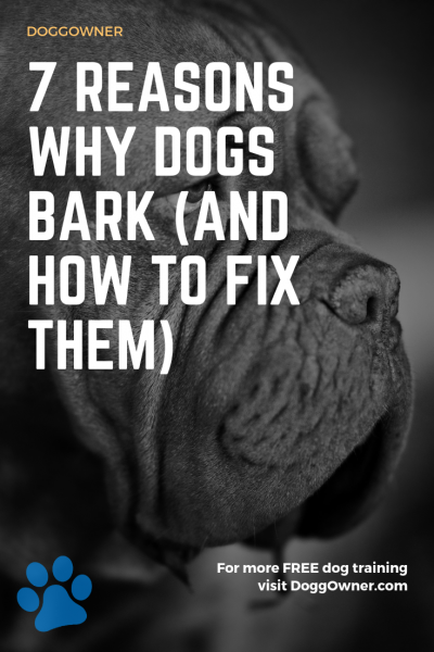7 Reasons Why Dogs Bark DoggOwner Pinterest Image