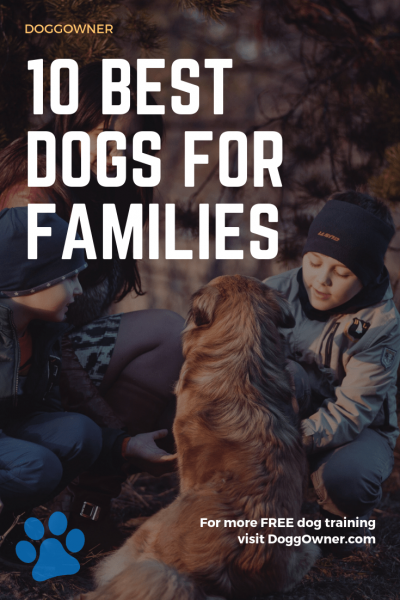 The best dogs for families pinterest DoggOwner image