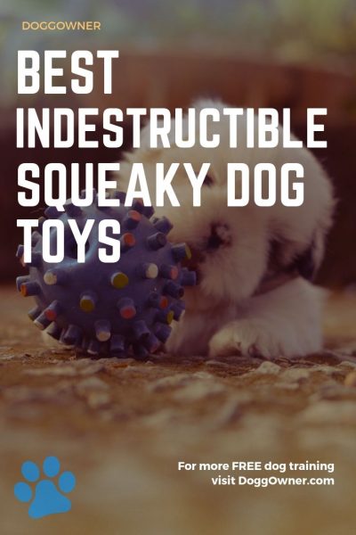 Best indestructible squeaky dog toys pinterest image