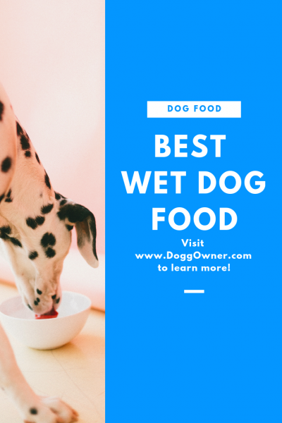 best wet dog food pinterest picture